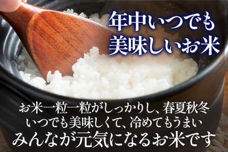 令和6年度産 福岡県産 元気つくし 10kg(5kg×2袋) 白米 お米 ご飯 米 精米 送料無料 お取り寄せグルメ お取り寄せ 福岡 お土産 九州 福岡土産 取り寄せ グルメ 福岡県