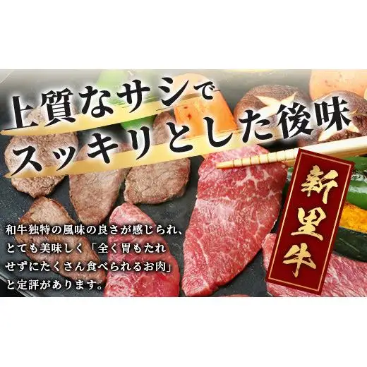 石垣島産 黒毛和牛 新里牛 赤身系焼き肉用(300g×1) 300g（ウデ・ウチモモ・トウガラシから1つ）SZ-20