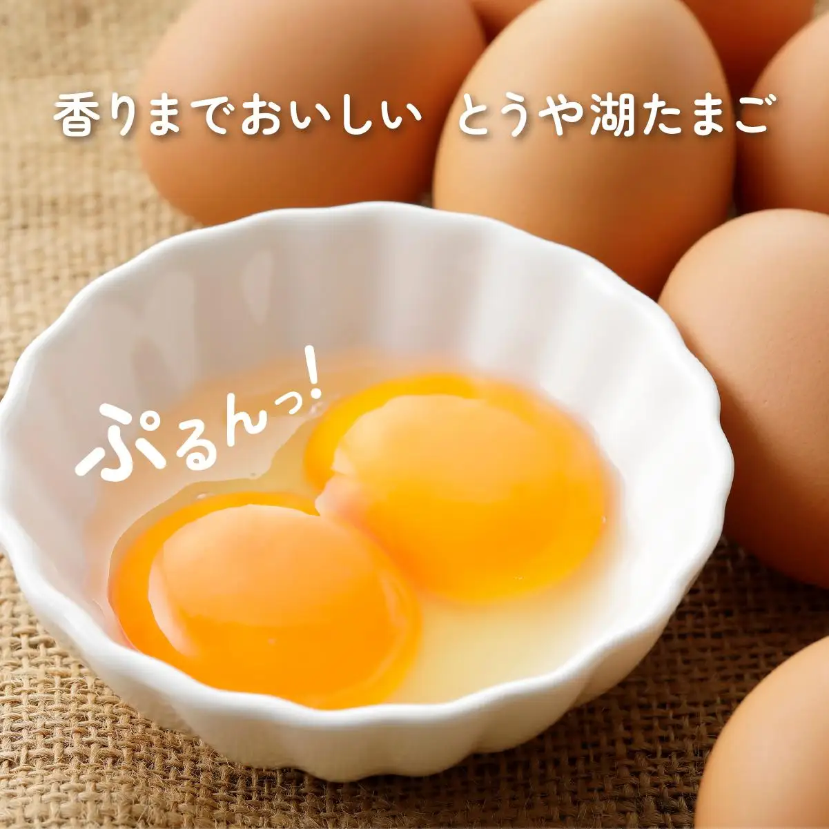 [5525-0920]【6ヵ月 定期便】 北海道 伊達市 とうや湖 卵  40個 入り たまご