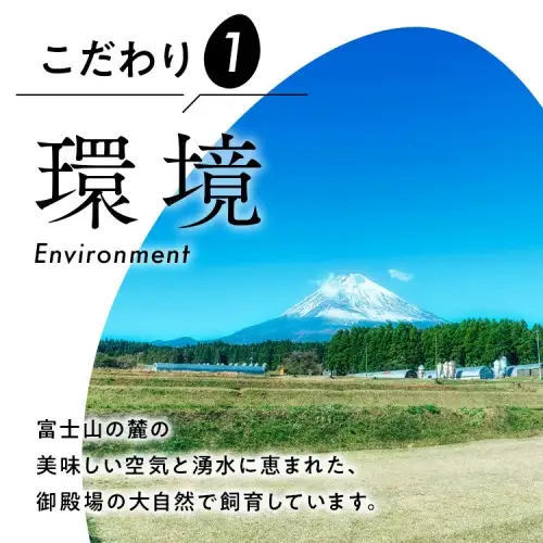 【定期便12ヵ月】《毎月25日にお届け》御殿たまご 赤たまご 24個入（破損保障含む）もみがら入 ◇ ｜ 卵 タマゴ 玉子 たまごかけご飯 生卵 鶏卵 卵焼き 国産 御殿場産 ※北海道・沖縄・離島への配送不可