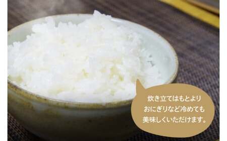 BN001-1　【先行予約】【令和６年産】【数量限定】　コシヒカリ玄米10kg