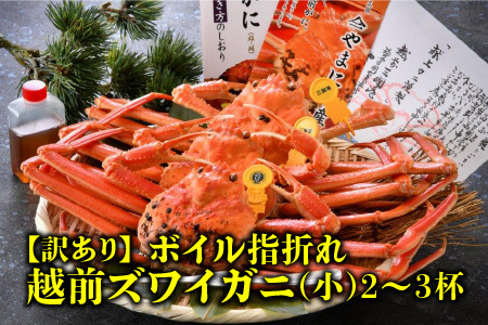 【12月発送】【先行予約】【訳あり】越前がに（小）2～3杯 指折れ 越前ズワイガニ [D-4352_12]