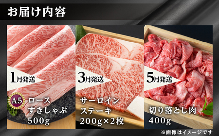 《まるごと定期便》6回 奇数月 厳選 お届け 飛騨牛 定期便 [S633]
