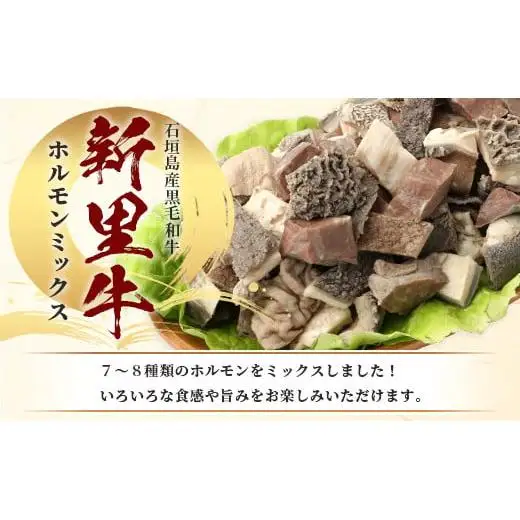 石垣島産 黒毛和牛 新里牛 ホルモンミックス(500g×２) 合計1kg SZ-23