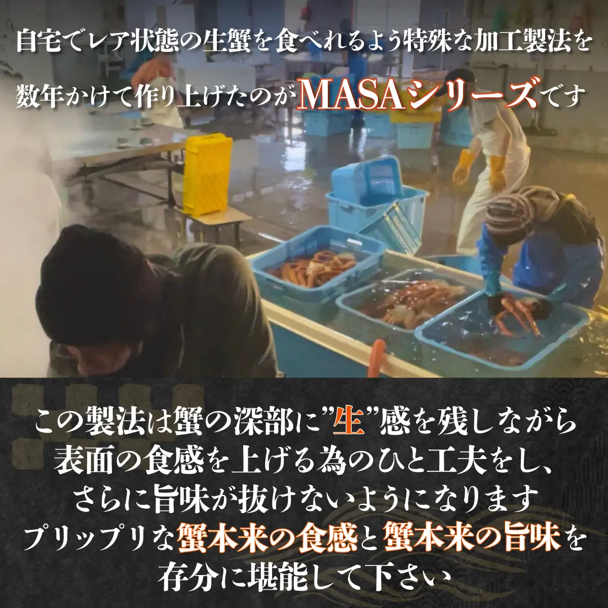 ”MASA”シリーズ（Ver．イバラガニ）『自宅でレアの生蟹を！！』（網走産）※着日指定不可 ABAH004