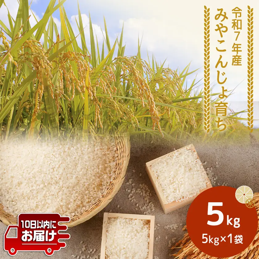 みやこんじょ育ち都城産ひのひかり5kg≪みやこんじょ特急便≫〔21-K701-Q〕_(都城市) 都城産 ひのひかり 5kg 田園 霧島裂罅水 土づくり こだわり 都城米 甘み 旨味 粘り 香り 米 旨味 白米 ごはん