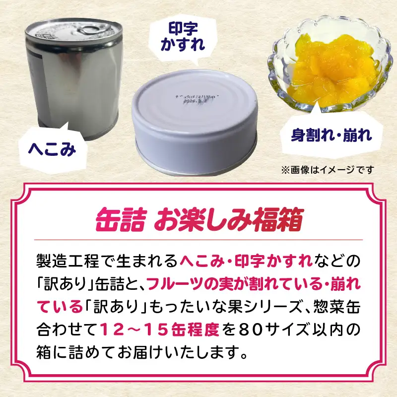 九州福岡工場直送！訳あり缶詰お楽しみ福箱 007-025