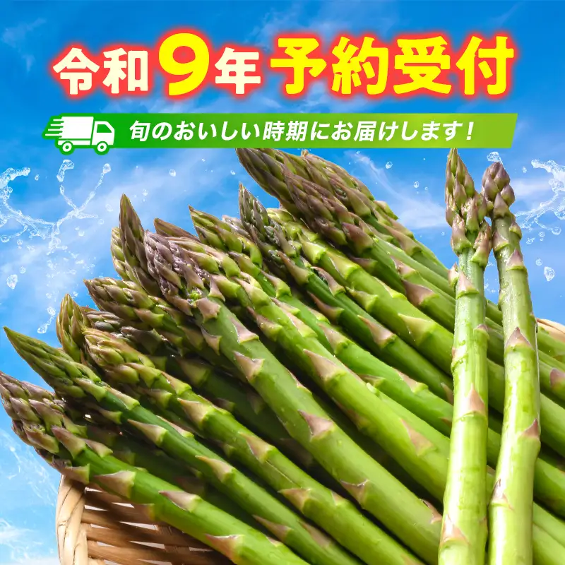 【先行予約】令和9年産グリーンアスパラガス 2kg Ｌサイズ（令和9年5月中旬～6月中旬頃発送） アスパラ 野菜 やさい ふるさと 納税 国産 北海道産 北海道 下川町 F4G-0356