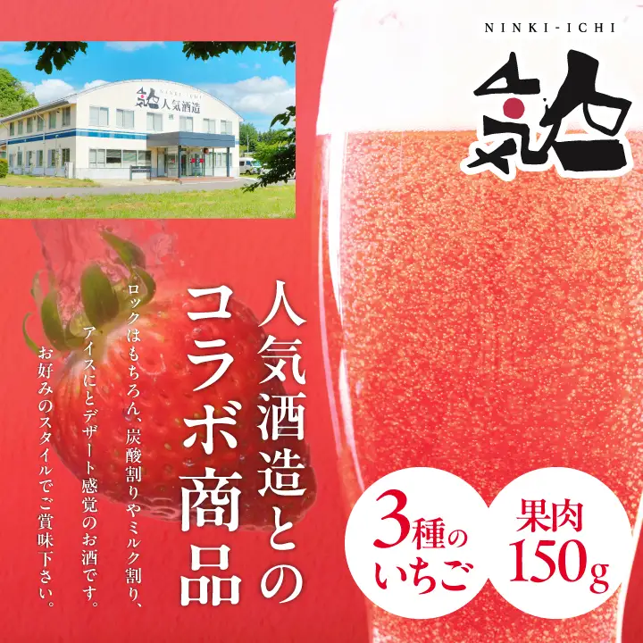 リキュール Koichigoリキュール 300ml×1本【まるなかファーム株式会社】