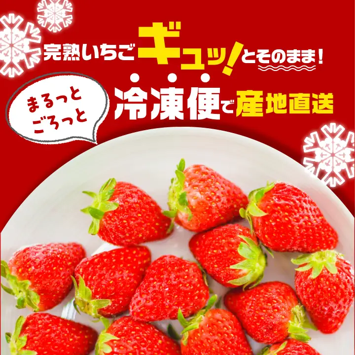 いちご 完熟冷凍いちご 1kg