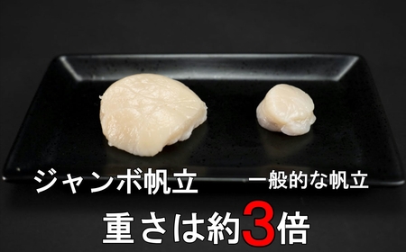 LLサイズ 刺身用帆立貝柱 1kg＜網走加工＞ 1粒約60g 【 ふるさと納税 人気 おすすめ ランキング ほたて ホタテ 帆立 貝柱 魚介 魚介類 オホーツク産 新鮮 刺身 バター焼き 大粒 北海道 網走市 送料無料 】 ABX006