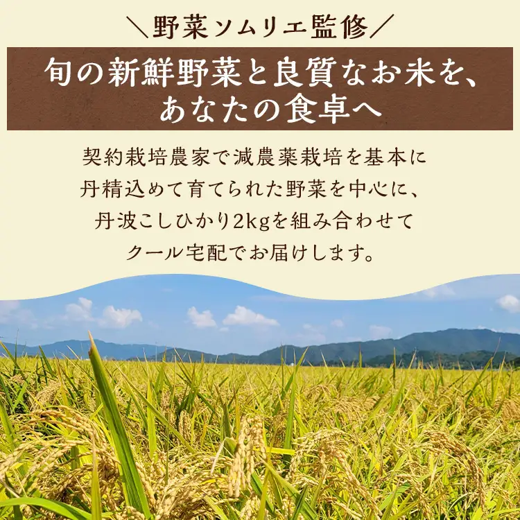 旬の京野菜セット 野菜 米 卵 納豆 詰め合わせ