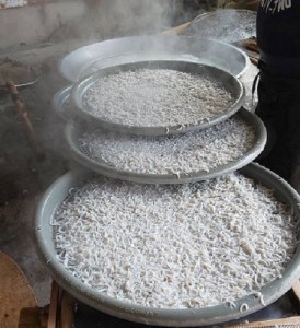 【5回定期便】岡本水産加工のちりめんじゃこ（毎回170ｇ×7袋お届け）【J00030】