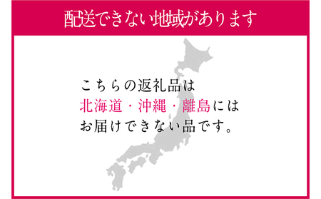 ぶどう 2026年 先行予約 シャイン マスカット 晴王 1房 約700g 岡山県産 シャインマスカット