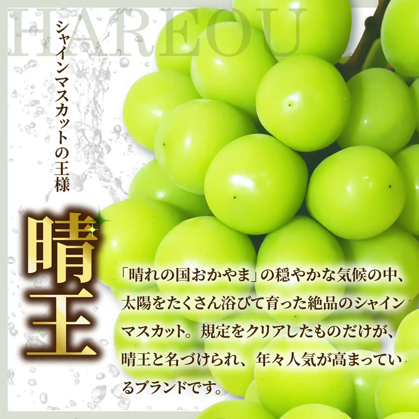 岡山県産 シャインマスカット 晴王 秀品 大房5kg【シャインマスカット】