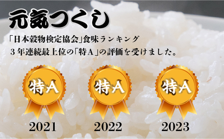 【全3回定期便】福岡県産【特A】評価のお米「元気つくし」5kg×2袋 [10kg] [白米] [ABDF115]