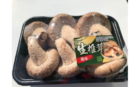 【茎まで美味しい】一休しいたけ　特大サイズ8パック　【12203-0162】