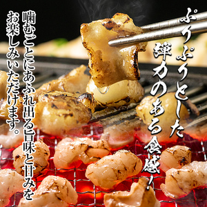 isa530 ≪毎月数量限定≫鹿児島産黒毛和牛ホルモン(合計800g・200g×4P)国産 牛 和牛 小腸 小分け 真空パック もつ鍋 焼肉 煮込み BBQ バーベキュー アウトドア 冷凍 冷凍便【財宝】