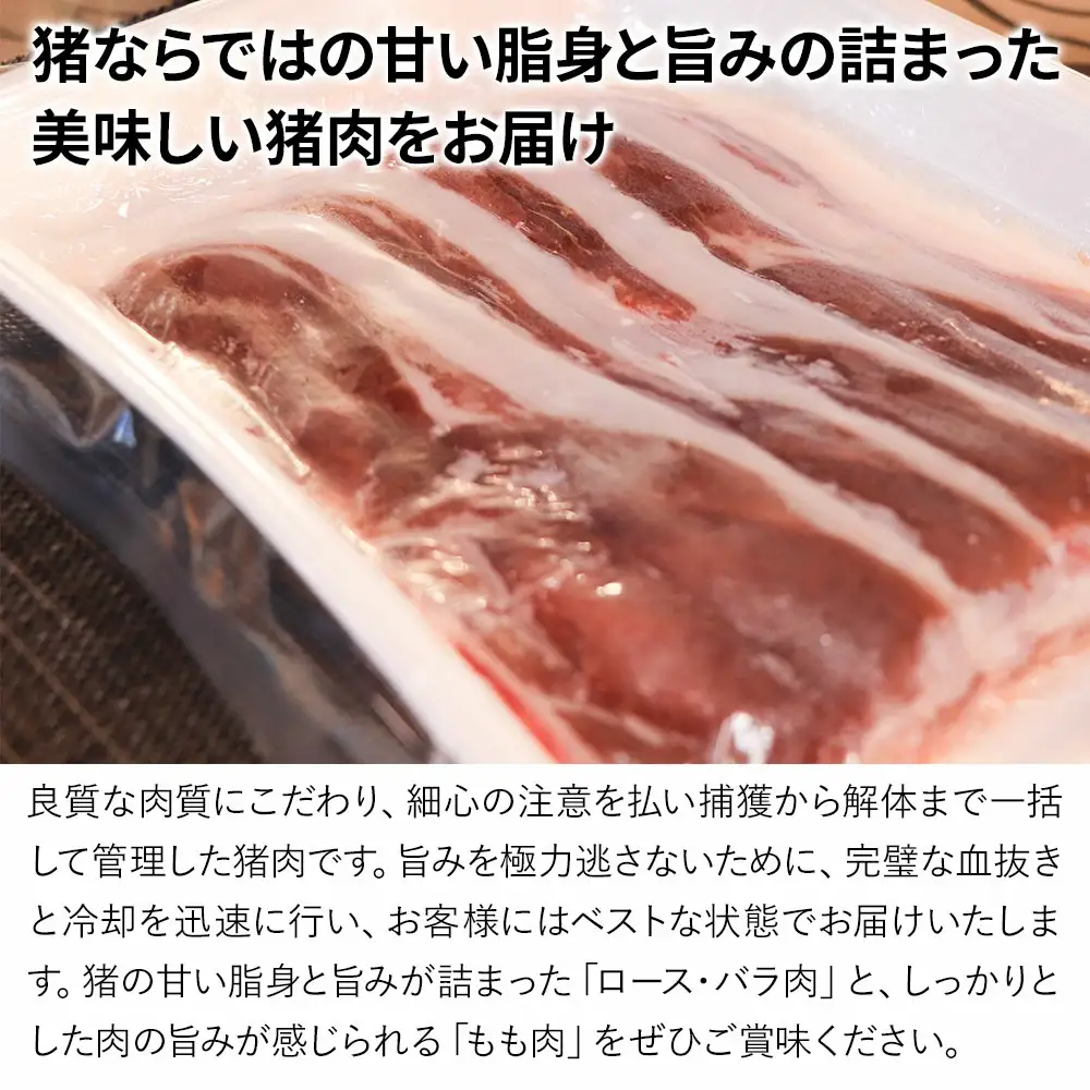 ジビエ 山賊 猪鍋 ぼたん鍋 セット | ジビエ 津久見市