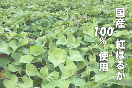 干し芋「Muscle Potato」 100g×18袋