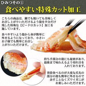 ズワイガニ カット済 ビードロセット 1.2kg 3人前 ABE039
