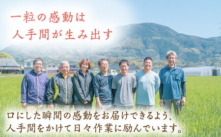 【最高ランク 特A評価】令和6年産 夢しずく 玄米 5kg /江口農園[UBF014] 玄米 米 お米 佐賀県産 特A