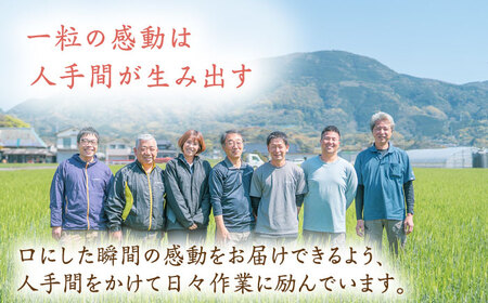 【先行予約】【10月下旬以降順次発送】＜15年連続特A評価＞令和6年産 白米 食べ比べセット 計20kg ( さがびより ヒノヒカリ 各10kg ) 配送前精米/江口農園[UBF020] 白米 米 お米 精米 佐賀県産 特A
