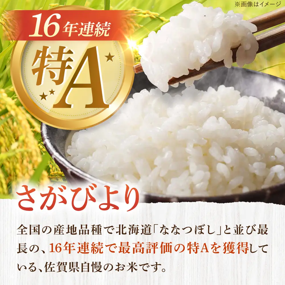 【3回定期便】 さがびより 白米 10kg 米定期便 [UBF027]