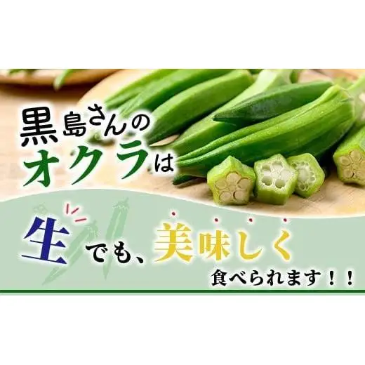 希少！黒島さんの採れたてオクラ100本セット　OI-7