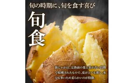 令和8年産新じゃがいも『デジマ』5kg訳あり品 