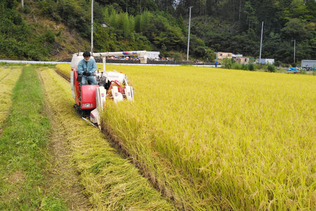 米 南三陸町産 ひとめぼれ めぐりん米 玄米 5kg