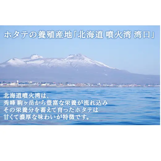 【先行予約2027年3月下旬発送開始】北海道産 ホタテ ガンガン焼き カンカン焼き 1.5kg以上 北海道産 ホタテ 加熱用 説明書付き カンカン蒸し 浜蒸し ホタテ 帆立 ほたて 魚介 海鮮 貝 アウトドア キャンプ バーベキュー BBQ 事業者支援 漁師応援