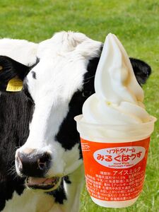 おウチで食べる北海道牛乳ソフトクリームセット10個入り