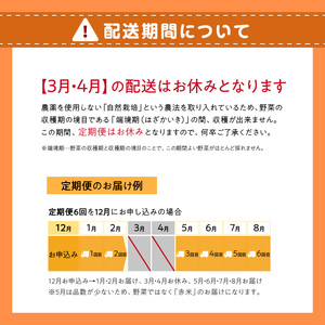 ＜京都産野菜定期便6回＞自然体な野菜セット 旬の野菜 野菜詰合せ 野菜セット 野菜定期便 6回 自然農園 自然栽培 安心 安全 健康 マクロビ ベジタリアン 定期便 京野菜 京都 木津川  086-02-T02