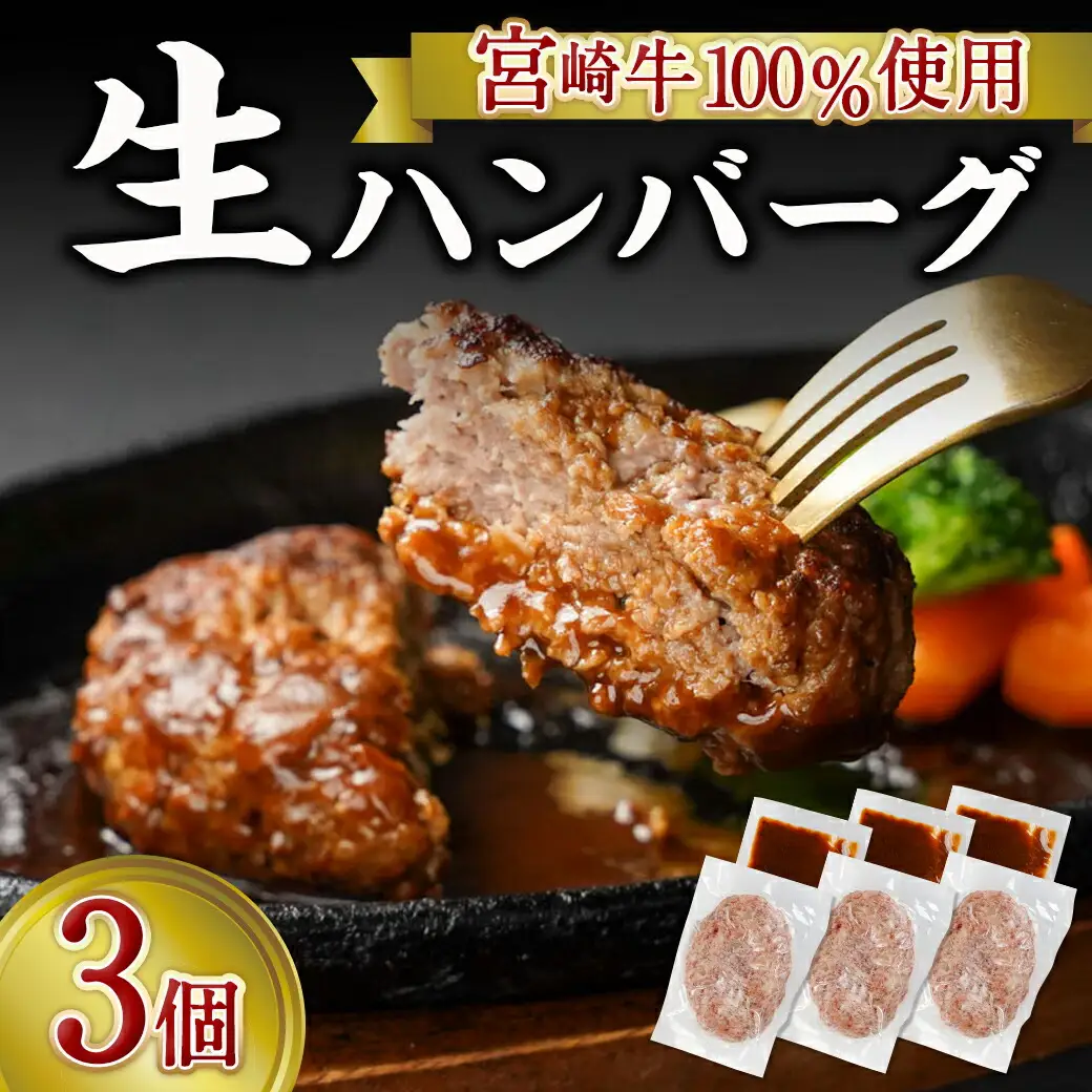 宮崎牛100％使用の生ハンバーグ≪100g×3個≫〔AA-7702〕_(都城市) 都城産宮崎牛 オリジナル手作り生ハンバーグ 手作業 自慢 お店の味 デミグラスソース