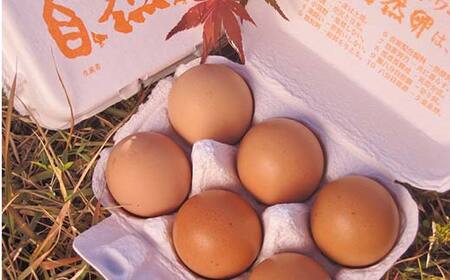 平飼い卵 とれたて発送「御幸卵」の生卵と温泉たまごセット（生卵24玉、温たま24玉） 伊達市 福島県 国産 養鶏場直送 卵 たまご 玉子 生卵 鶏卵 温泉たまご F20C-760