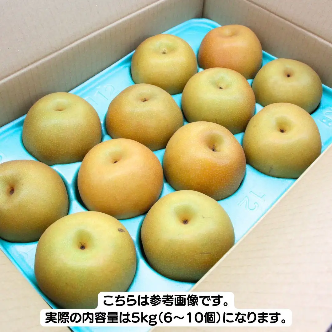 【2026年9月下旬から発送開始】《先行予約》《秀品》 にっこり梨 5kg 6玉 ～ 10玉 茨城県共通返礼品／かすみがうら市 鈴木農園 産地直送 フルーツ 甘い 直送 茨城 限定 にっこり [ED001sa]