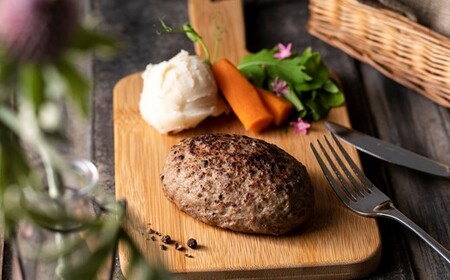旨味 凝縮 あか牛 100％ ハンバーグ 750g （ 150g × 5個 ） | 肉 お肉 にく おにく ハンバーグ 加工品 牛 牛肉 あか牛 ハンバーグ 熊本 玉名