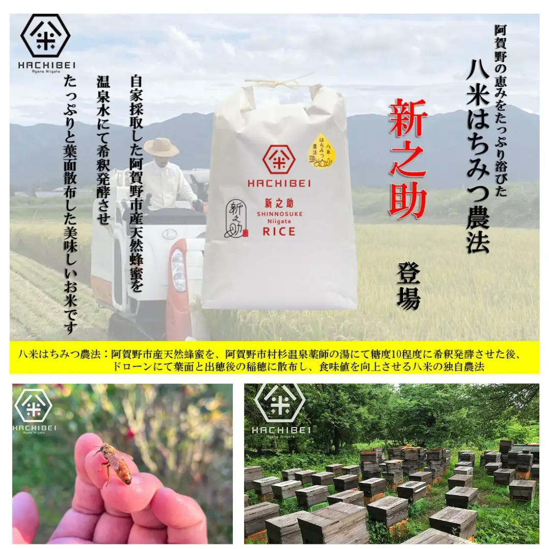 【令和8年産新米予約】【環境大臣賞受賞】【特別賞受賞】 9ヶ月定期便 無洗米 新之助 10kg×9回 計90kg 農家直送 ほんのり甘い「はちみつ農法」 白米 精米 HACHIBEI 八米  新潟県 米 こめ コメ 新米 新米予約 令和8年度産 10月中旬より順次発送予定 1L27260
