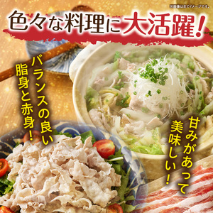 豚肉 みやざきブランドポークバラスライス 2kg（国産 豚バラ肉 生姜焼き 焼肉 スライス 限定 小分け ）