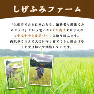 isa531 ≪期間限定≫あんしん 生黒ゴマ(計約200g・約50g×4P)洗いごま 国産 鹿児島 胡麻 ごま 有機栽培 生ごま【しげふみファーム】