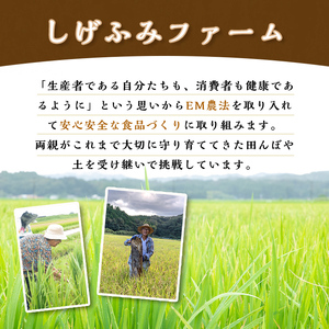 isa532 ≪毎月数量限定≫あんしん そば粉(計約2kg・約500g×4P)国産 鹿児島 蕎麦 ソバ 有機栽培 手打ちそば【しげふみファーム】