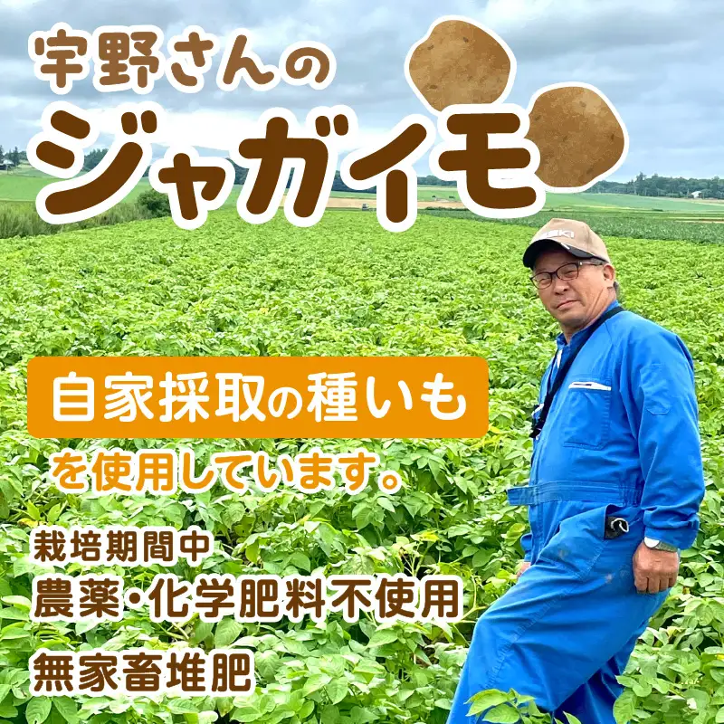 【予約：2027年2月上旬から順次発送】【選べる3サイズ】宇野さんの手拾い、手選別の越冬ジャガイモ 10kg ( 芋 野菜 選べる )【167-0004-2027】