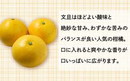 先行予約 訳あり 文旦 6kg ＋傷み保障500g ぶんたん みかん 蜜柑 果物 柑橘 フルーツ ミカン 産地直送 国産 農家直送 期間限定 数量限定 特産品 傷 シミ サイズミックス ジュース ゼリー ビタミン 美容 健康 愛媛県 愛南町 山口農園
