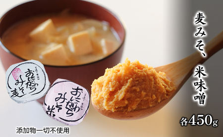 味噌漬物セット 翔の会 米味噌 麦味噌 甘酢漬け 味噌漬物セット