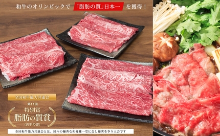 オリーブ牛特選肩切り落とし900g(300g×3) 牛肉 お肉 