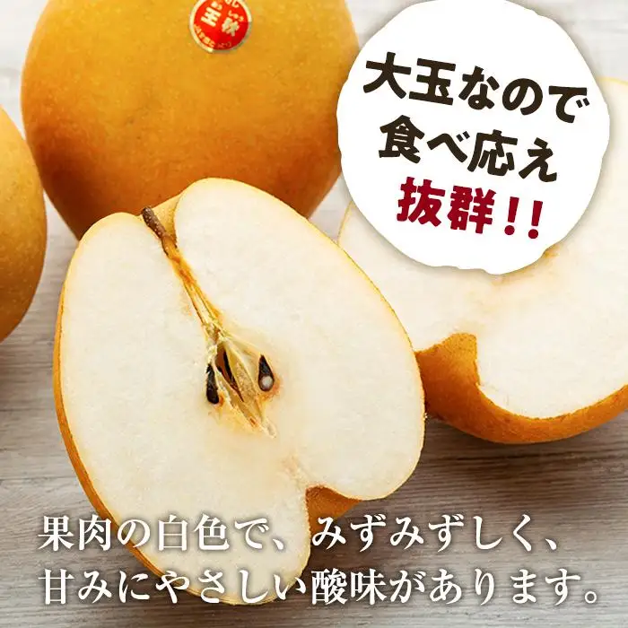 梨 王秋梨 鳥取産 5kg ( 5kg × 1箱 )