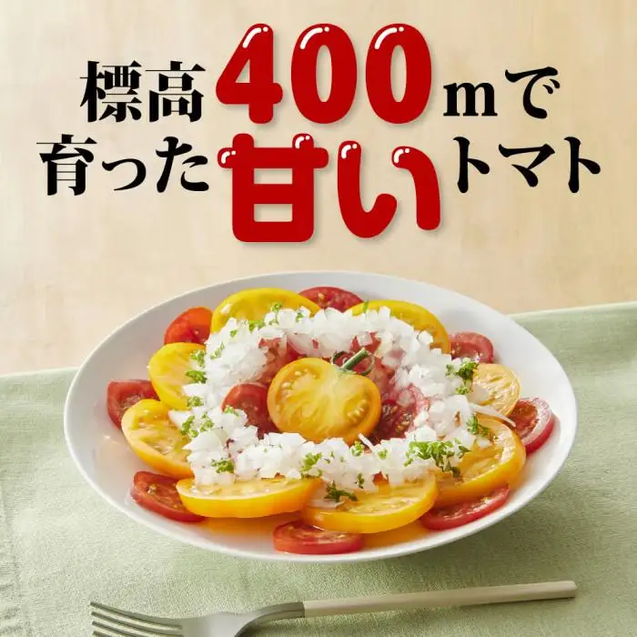 【先行予約】フルーツトマト 三朝町産 2kg × 1箱｜トマト