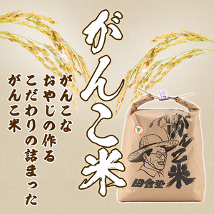 【E7037】＜令和7年産 先行予約！＞《定期便・全6回》田舎塾特別栽培米「がんこ米ゆめぴりか」(5kg×6回・計30kg) 【2025年10月中旬以降順次発送】 米 お米 白米 北海道産 北海道米 ゆめぴりか 特A 一等級 ごはん おこめ コメ 単一原料米 定期便 【田舎塾】