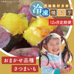 【12ヶ月定期便】★訳あり★紅はるか冷凍焼き芋約3kg＋おまかせ品種さつまいも　合計約3.2kg（EY-31）